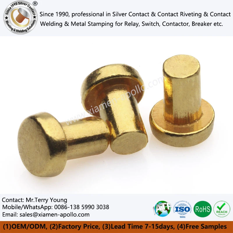 Gold Coating Electrical Rivets Gold Coating Electrical Rivets